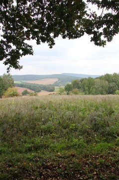 0090 Near Eichenberg Sept 2010 (Large)